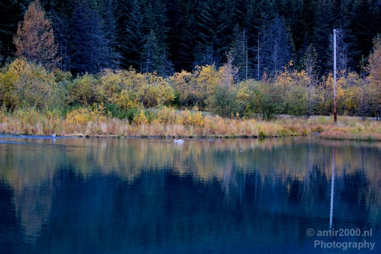 Seward_Alaska_landscape_nature_fall_autumn_Usa_Photography_050_Canon_EOS_5D_Mark_IV.JPG