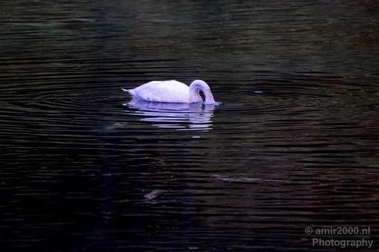 Seward_Alaska_landscape_nature_fall_autumn_Usa_Photography_056_Canon_EOS_5D_Mark_IV.JPG