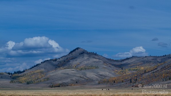 Teton_Yellowstone_national_park_usa_Nature_Photography_013_Canon_EOS_7D.JPG