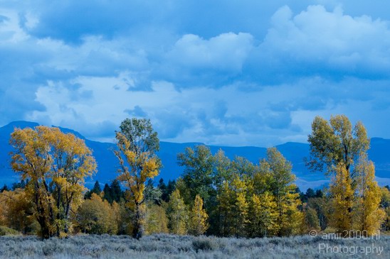 Teton_Yellowstone_national_park_usa_Nature_Photography_018_Canon_EOS_7D.JPG