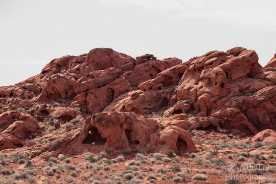 Valley_of_Fire_state_park_Nevada_Usa_Nature_Photography_014_Canon_EOS_7D.JPG
