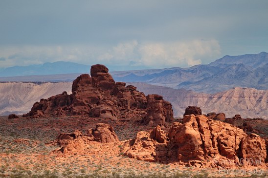 Valley_of_Fire_state_park_Nevada_Usa_Nature_Photography_015_Canon_EOS_7D.JPG
