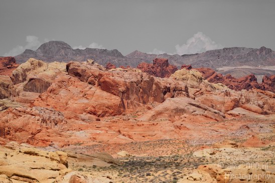 Valley_of_Fire_state_park_Nevada_Usa_Nature_Photography_032_Canon_EOS_7D.JPG
