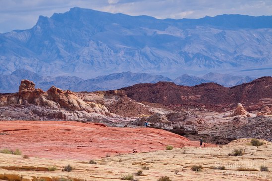 Valley_of_Fire_state_park_Nevada_Usa_Nature_Photography_045_Canon_EOS_7D.JPG