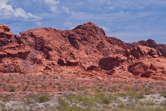 Valley_of_Fire_state_park_Nevada_Usa_Nature_Photography_050_Canon_EOS_7D.JPG