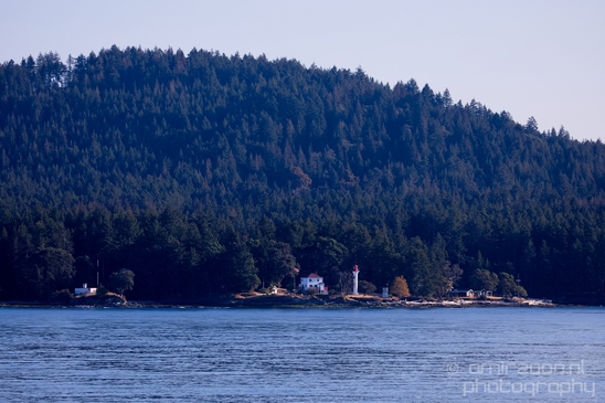 Vancouver_Island_nature_landsacpe_British_Columbia_Canada_Usa_Photography_018_Canon_EOS_5D_Mark_IV.JPG