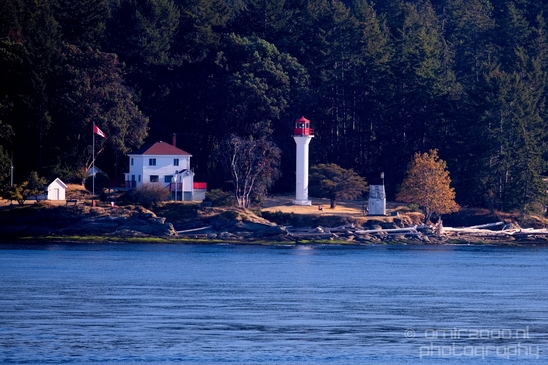 Vancouver_Island_nature_landsacpe_British_Columbia_Canada_Usa_Photography_019_Canon_EOS_5D_Mark_IV.JPG