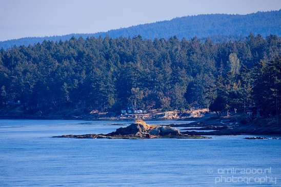 Vancouver_Island_nature_landsacpe_British_Columbia_Canada_Usa_Photography_020_Canon_EOS_5D_Mark_IV.JPG