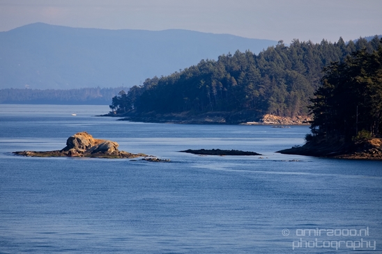 Vancouver_Island_nature_landsacpe_British_Columbia_Canada_Usa_Photography_021_Canon_EOS_5D_Mark_IV.JPG