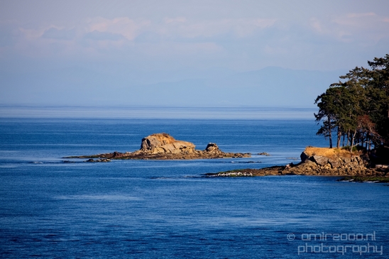 Vancouver_Island_nature_landsacpe_British_Columbia_Canada_Usa_Photography_022_Canon_EOS_5D_Mark_IV.JPG