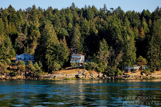 Vancouver_Island_nature_landsacpe_British_Columbia_Canada_Usa_Photography_027_Canon_EOS_5D_Mark_IV.JPG