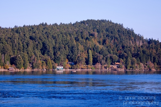 Vancouver_Island_nature_landsacpe_British_Columbia_Canada_Usa_Photography_028_Canon_EOS_5D_Mark_IV.JPG