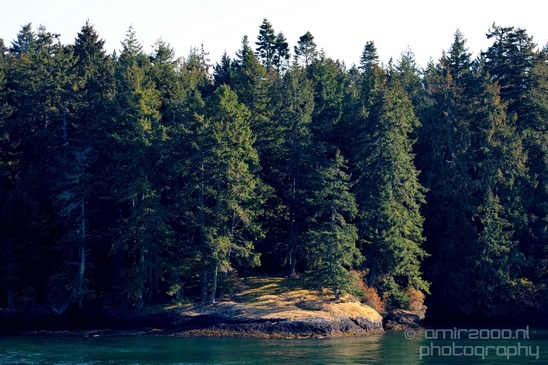 Vancouver_Island_nature_landsacpe_British_Columbia_Canada_Usa_Photography_033_Canon_EOS_5D_Mark_IV.JPG