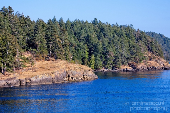 Vancouver_Island_nature_landsacpe_British_Columbia_Canada_Usa_Photography_036_Canon_EOS_5D_Mark_IV.JPG