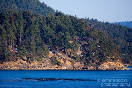 Vancouver_Island_nature_landsacpe_British_Columbia_Canada_Usa_Photography_039_Canon_EOS_5D_Mark_IV.JPG
