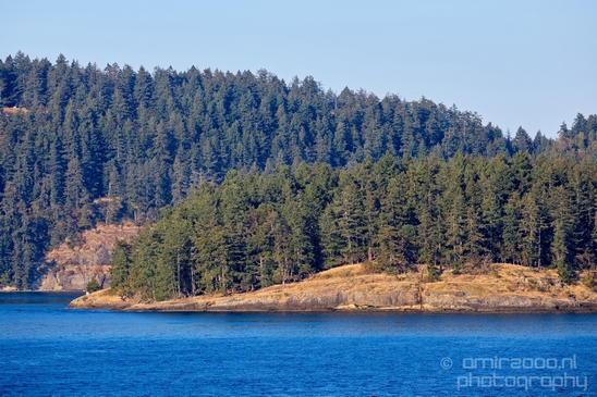 Vancouver_Island_nature_landsacpe_British_Columbia_Canada_Usa_Photography_040_Canon_EOS_5D_Mark_IV.JPG