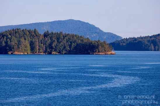 Vancouver_Island_nature_landsacpe_British_Columbia_Canada_Usa_Photography_041_Canon_EOS_5D_Mark_IV.JPG