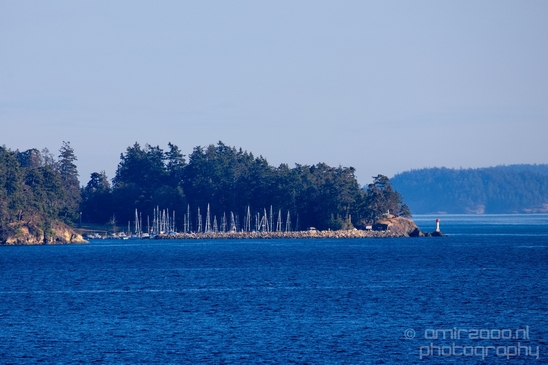 Vancouver_Island_nature_landsacpe_British_Columbia_Canada_Usa_Photography_049_Canon_EOS_5D_Mark_IV.JPG