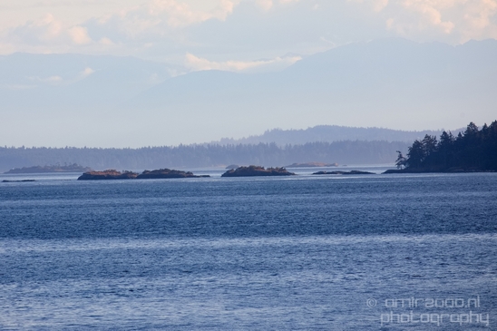 Vancouver_Island_nature_landsacpe_British_Columbia_Canada_Usa_Photography_051_Canon_EOS_5D_Mark_IV.JPG