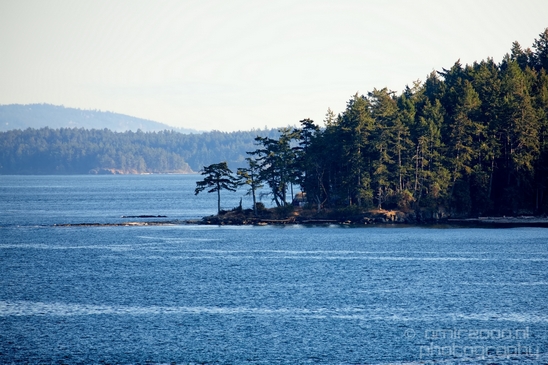 Vancouver_Island_nature_landsacpe_British_Columbia_Canada_Usa_Photography_057_Canon_EOS_5D_Mark_IV.JPG