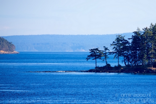 Vancouver_Island_nature_landsacpe_British_Columbia_Canada_Usa_Photography_058_Canon_EOS_5D_Mark_IV.JPG