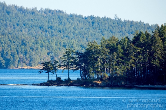 Vancouver_Island_nature_landsacpe_British_Columbia_Canada_Usa_Photography_060_Canon_EOS_5D_Mark_IV.JPG