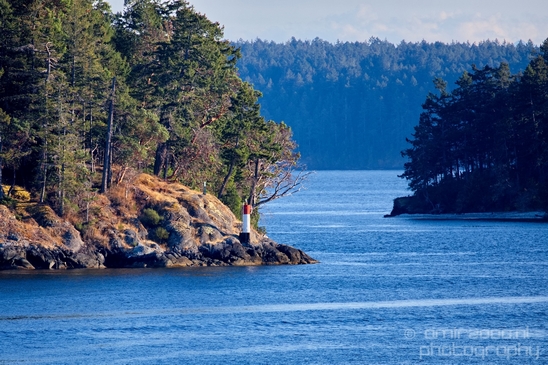 Vancouver_Island_nature_landsacpe_British_Columbia_Canada_Usa_Photography_061_Canon_EOS_5D_Mark_IV.JPG