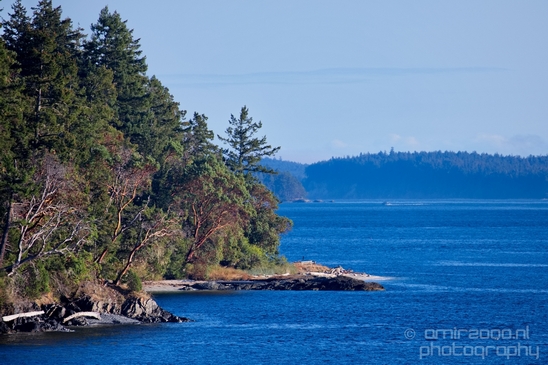 Vancouver_Island_nature_landsacpe_British_Columbia_Canada_Usa_Photography_062_Canon_EOS_5D_Mark_IV.JPG