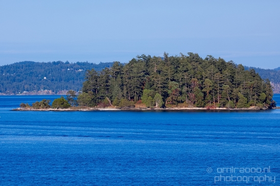 Vancouver_Island_nature_landsacpe_British_Columbia_Canada_Usa_Photography_064_Canon_EOS_5D_Mark_IV.JPG