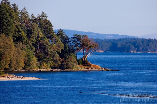 Vancouver_Island_nature_landsacpe_British_Columbia_Canada_Usa_Photography_065_Canon_EOS_5D_Mark_IV.JPG