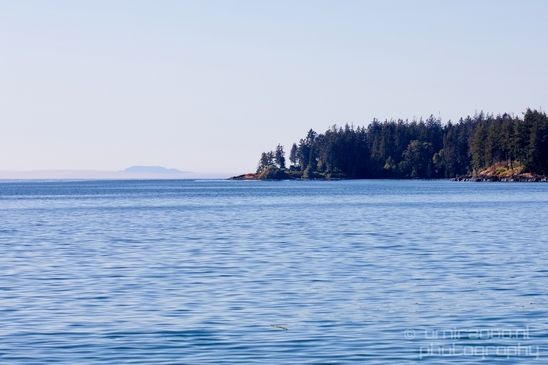 Vancouver_Island_nature_landsacpe_British_Columbia_Canada_Usa_Photography_074_Canon_EOS_5D_Mark_IV.JPG