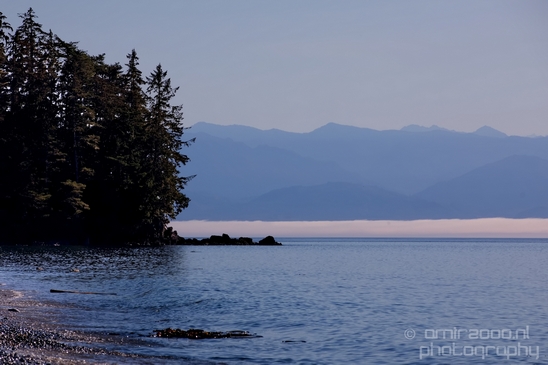Vancouver_Island_nature_landsacpe_British_Columbia_Canada_Usa_Photography_076_Canon_EOS_5D_Mark_IV.JPG