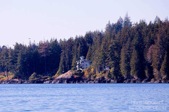 Vancouver_Island_nature_landsacpe_British_Columbia_Canada_Usa_Photography_078_Canon_EOS_5D_Mark_IV.JPG