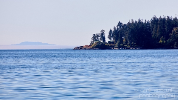 Vancouver_Island_nature_landsacpe_British_Columbia_Canada_Usa_Photography_079_Canon_EOS_5D_Mark_IV.JPG