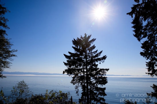 Vancouver_Island_nature_landsacpe_British_Columbia_Canada_Usa_Photography_095_Canon_EOS_5D_Mark_IV.JPG