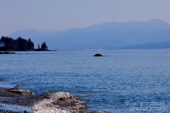 Vancouver_Island_nature_landsacpe_British_Columbia_Canada_Usa_Photography_098_Canon_EOS_5D_Mark_IV.JPG