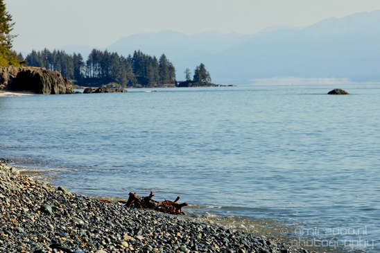 Vancouver_Island_nature_landsacpe_British_Columbia_Canada_Usa_Photography_102_Canon_EOS_5D_Mark_IV.JPG