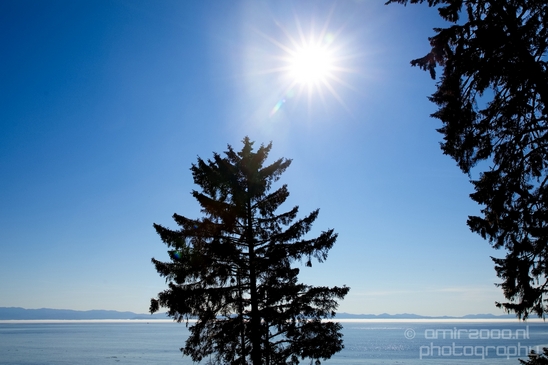 Vancouver_Island_nature_landsacpe_British_Columbia_Canada_Usa_Photography_108_Canon_EOS_5D_Mark_IV.JPG