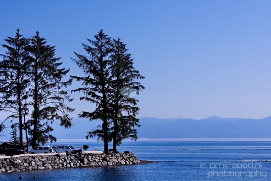 Vancouver_Island_nature_landsacpe_British_Columbia_Canada_Usa_Photography_114_Canon_EOS_5D_Mark_IV.JPG
