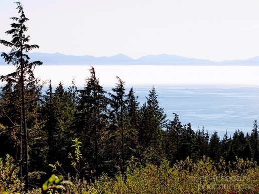 Vancouver_Island_nature_landsacpe_British_Columbia_Canada_Usa_Photography_115_Canon_EOS_5D_Mark_IV.JPG