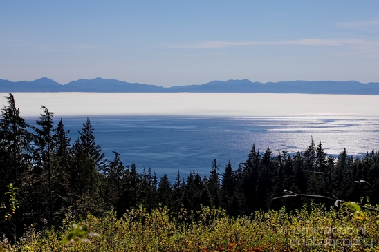Vancouver_Island_nature_landsacpe_British_Columbia_Canada_Usa_Photography_116_Canon_EOS_5D_Mark_IV.JPG