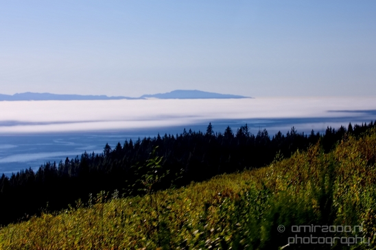 Vancouver_Island_nature_landsacpe_British_Columbia_Canada_Usa_Photography_118_Canon_EOS_5D_Mark_IV.JPG