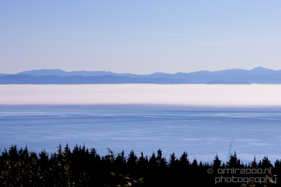 Vancouver_Island_nature_landsacpe_British_Columbia_Canada_Usa_Photography_119_Canon_EOS_5D_Mark_IV.JPG