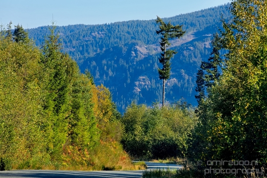 Vancouver_Island_nature_landsacpe_British_Columbia_Canada_Usa_Photography_126_Canon_EOS_5D_Mark_IV.JPG