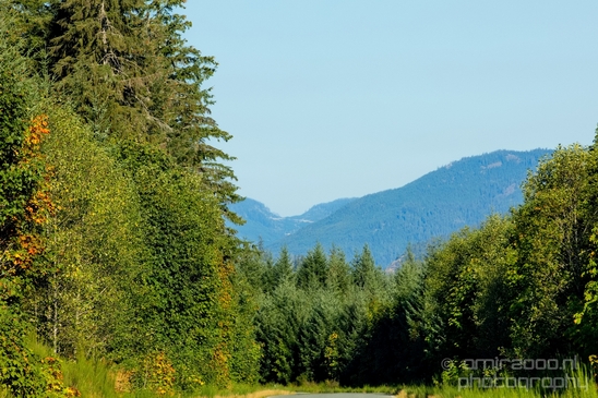 Vancouver_Island_nature_landsacpe_British_Columbia_Canada_Usa_Photography_127_Canon_EOS_5D_Mark_IV.JPG