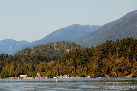 Vancouver_Island_nature_landsacpe_British_Columbia_Canada_Usa_Photography_132_Canon_EOS_5D_Mark_IV.JPG