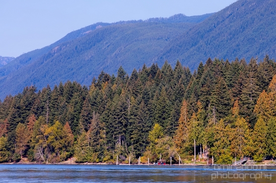Vancouver_Island_nature_landsacpe_British_Columbia_Canada_Usa_Photography_133_Canon_EOS_5D_Mark_IV.JPG
