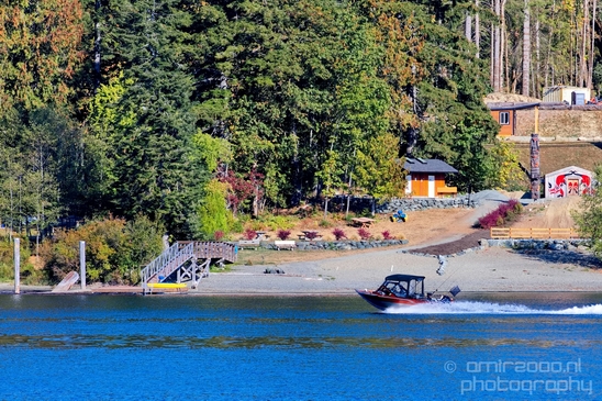 Vancouver_Island_nature_landsacpe_British_Columbia_Canada_Usa_Photography_145_Canon_EOS_5D_Mark_IV.JPG