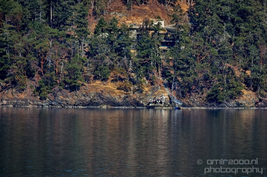 Vancouver_Island_nature_landsacpe_British_Columbia_Canada_Usa_Photography_171_Canon_EOS_5D_Mark_IV.JPG