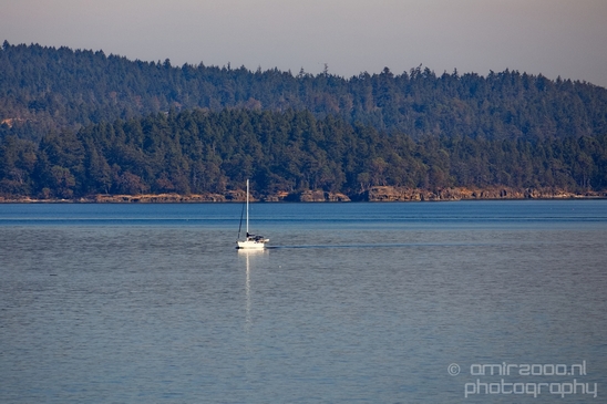 Vancouver_Island_nature_landsacpe_British_Columbia_Canada_Usa_Photography_172_Canon_EOS_5D_Mark_IV.JPG